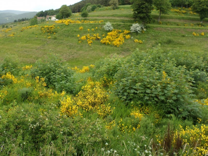 L\'Ardèche Verte le mercredi 15 juin 2016